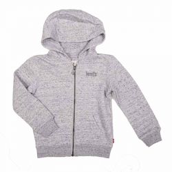 Levi's® Kids sweat à capuche garçon gris clair