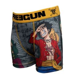 Boxer garcon microfibre fg/op4/3/bm/san Garçon FREEGUN