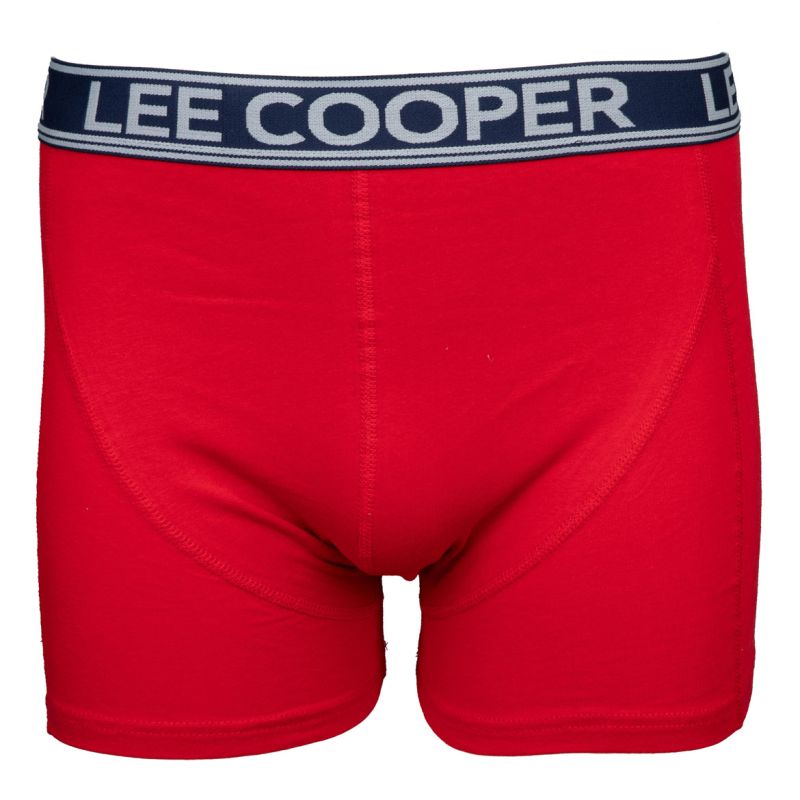 BOXER RAPHAEL