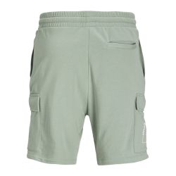 Short jpstkane iceberg green 12269442 4236 Homme JACK & JONES