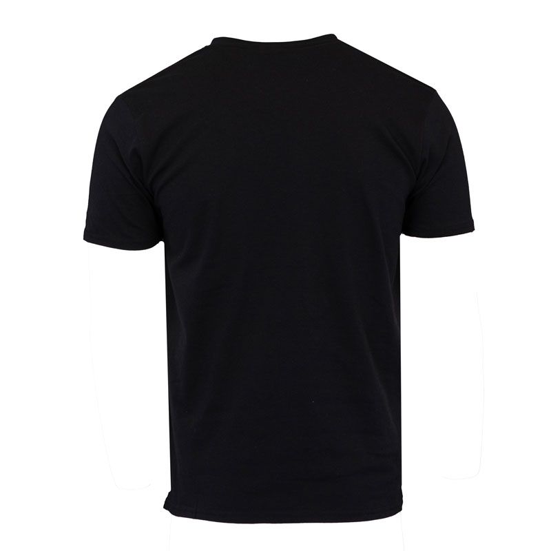 Tee shirt col v bng 3625 Homme PIERRE CARDIN