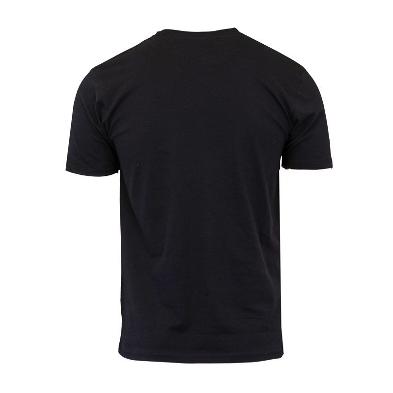 Tee shirt col r bng 853 Homme PIERRE CARDIN