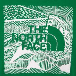 Tee shirt mc white nf0a87nvfn41 Homme THE NORTH FACE