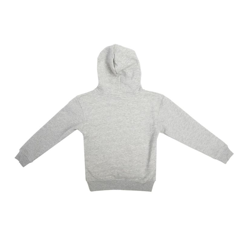 Sweat a capuche 251011 Enfant REDSKINS