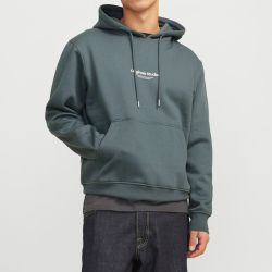 SWEAT A CAPUCHE MOONBEAM JWHVESTERBRO 12266168 4400 SWEAT A CAPUCHE MOONBEAM JWHVESTERBRO 12266168 4400