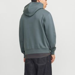 SWEAT A CAPUCHE MOONBEAM JWHVESTERBRO 12266168 4400 SWEAT A CAPUCHE MOONBEAM JWHVESTERBRO 12266168 4400