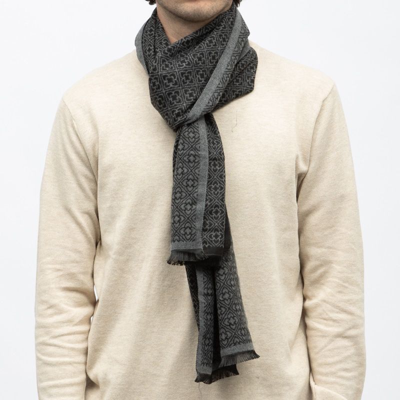Echarpe imprimee 30x190cm lyam Homme TED LAPIDUS
