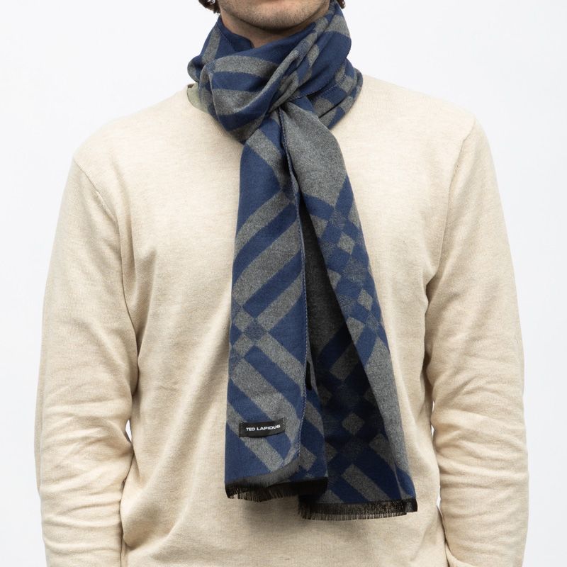 Echarpe imprimee 30x190cm lyam Homme TED LAPIDUS
