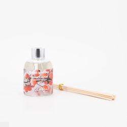 BATONS A PARFUM BAIES GIVREES 100 ML BGIBT10
