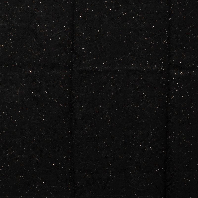 Echarpe gp brodee 70x185cm Femme GERARD PASQUIER