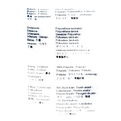 Parka sans capuche jami en duvet et plume de canard Enfant PYRENEX