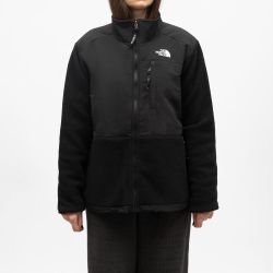 VESTE POLAIRE FEMME THE NORTH FACE
