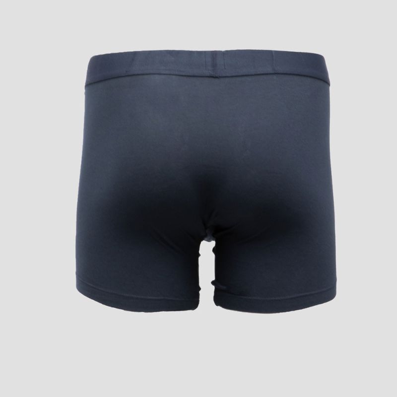 Lot 2 boxers navy combo wstrn 701235950001801 Homme LEVI'S