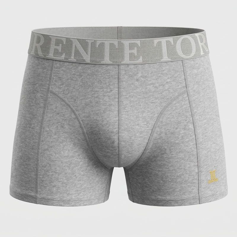 Lot de 3 boxers classic 24063 torrente Homme TORRENTE