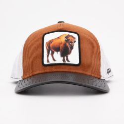 Casquette hat2/1/ct/bison Homme HATFIELD