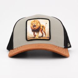 Casquette hat2/1/ct/lion Homme HATFIELD