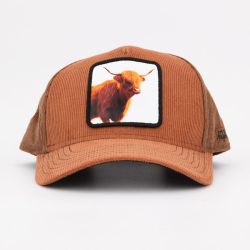 Casquette hat3/1/ct/bul Homme HATFIELD