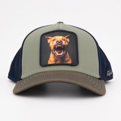 Casquette hat3/1/ct/dog Homme HATFIELD