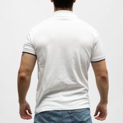 Polo mc lt pink prime Homme PANAME BROTHERS