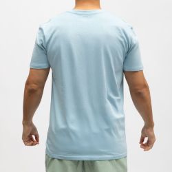 Tee shirt col rond raoul Homme REDSKINS