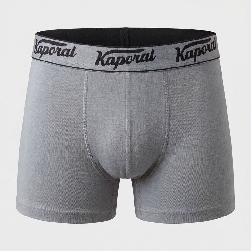 Lot de 5 boxers en boite willem Homme KAPORAL