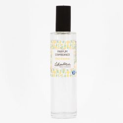Parfum d ambiance 100 ml fleur d ananas cdppaan Mixte LOTHANTIQUE