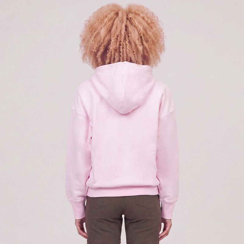 Sweat a capuche rose clair w all szn bf hd jv7237 Femme ADIDAS