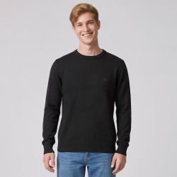 Pull col rond tl090 Homme TED LAPIDUS