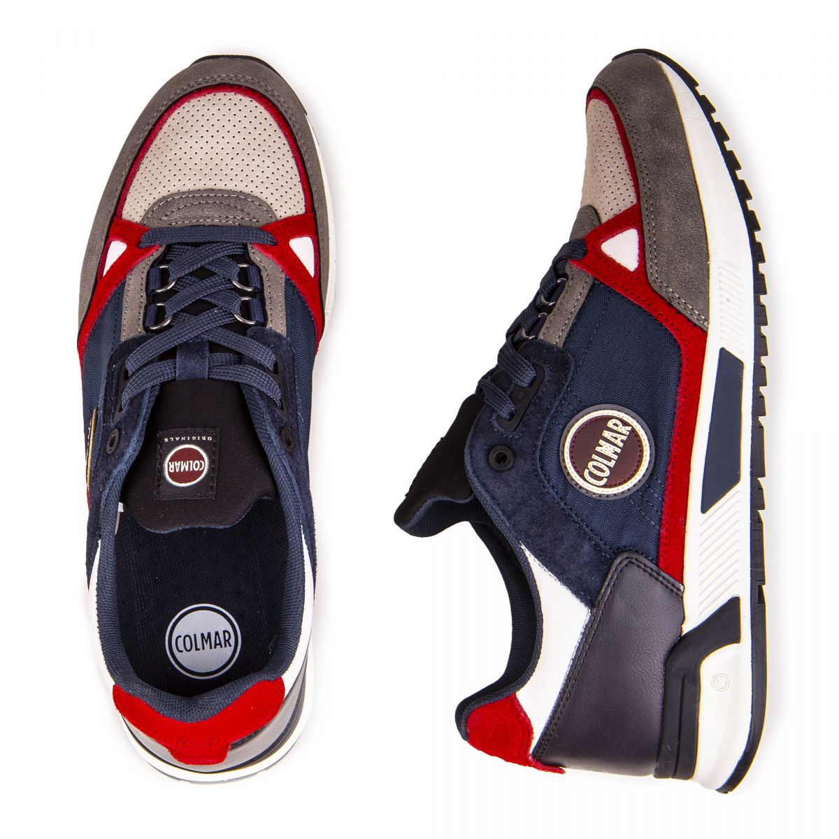 basket colmar homme